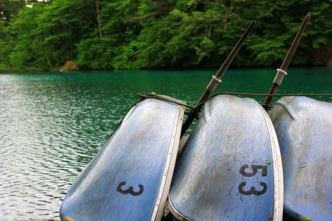 本栖湖のヒメマス釣り2015解禁!釣果は上々!!