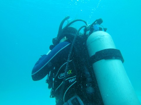 流氷ツアー2015まだまだ人気!