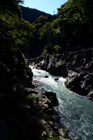 那須塩原箒川で2015年も渓流解禁!釣果は爆釣らしい!
