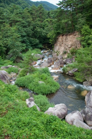 福島県久慈川の渓流釣りが2015年も解禁しました!