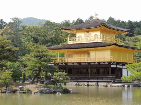 京都府でフライフィッシングのできる管理釣り場はここ!
