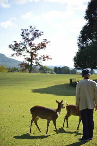 奈良県でフライフィッシングのできる管理釣り場はここ!