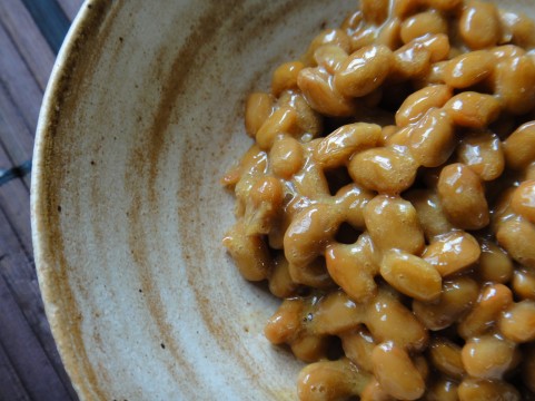 茨城県でフライフィッシングのできる管理釣り場はここ!
