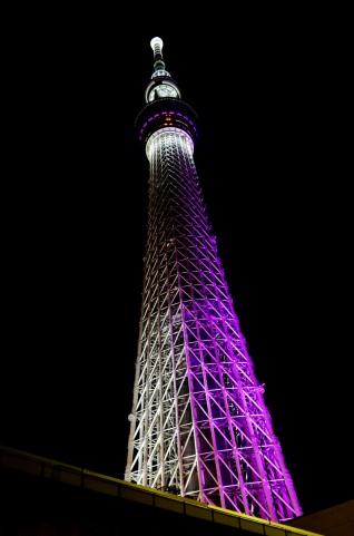 東京都でフライフィッシングのできる管理釣り場はここ!