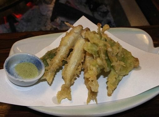 諏訪湖のワカサギ釣りはやっぱりドーム船でしょ!