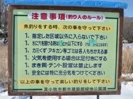 苫小牧の錦大沼でワカサギ釣り2016解禁!今年は昨年以上!