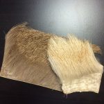 Thumbnail of post image 106
