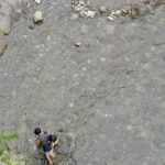 Thumbnail of post image 161
